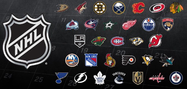 NHL Team Statistics and Analytics