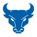 .BUFFALO Logo