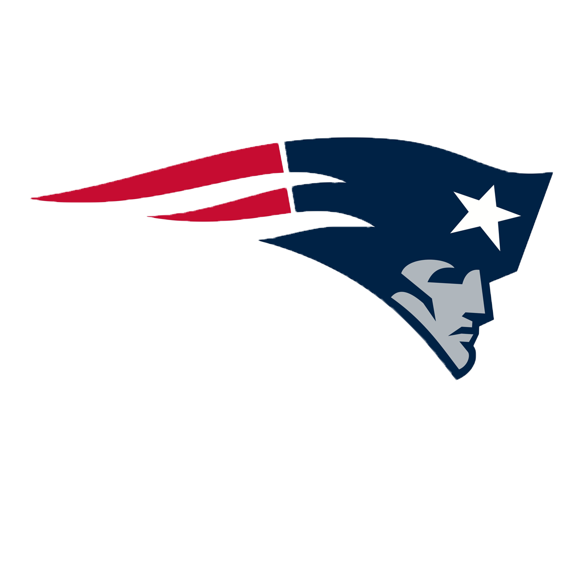 NEW ENGLAND PATRIOTS Logo